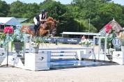 Ruin Franse rijpony PFS Te koop 2019 Vos ,  Mon Nantano de florys