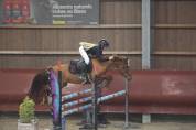 Ruin Franse rijpony PFS Te koop 2019 Vos ,  Mon Nantano de florys