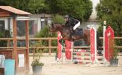 Poney D 10 ans &agrave; vendre ou &agrave; louer 