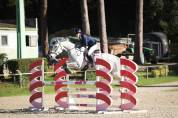 jument de sport 