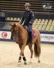 Top poney de sport