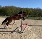 Ponette 3 ans
