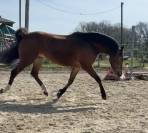 Ponette 3 ans