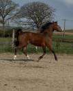 Ponette 3 ans