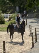 Pony da competizione 