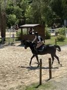 Pony da competizione 