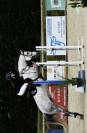 poney d&rsquo; AS 2 &agrave; vendre 