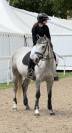 poney d&rsquo; AS 2 &agrave; vendre 