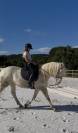 Cheval en demie pension