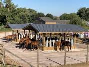 RECHERCHE ENSEIGNANT(E) D'EQUITATION