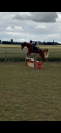 Cheval 