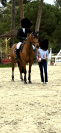 Hongre de 8 ans amateur &eacute;lite et plus