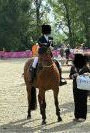 Hongre de 8 ans amateur &eacute;lite et plus