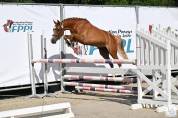 Tr&egrave;s chic PFS 5 ans, 1m47, 18/20 aux allures 