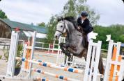 Ponette D connemara 6 ans