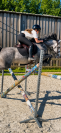 Ponette D connemara 6 ans