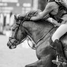 Poney Comp&eacute;titif AS2 AS1 / A tourn&eacute; jusqu'en AS Elite
