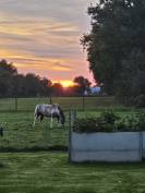 Pension prairie 03340 Gouise Allier