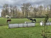 Pension prairie 03340 Gouise Allier