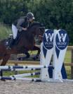 Chouette Hongre CLUB 2 - id&eacute;al Club - CSO 