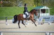 poney de GP dressage 