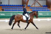 poney de GP dressage 