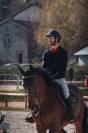 Jument de sport 