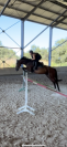 Trotteur avec potentiel en confiage 