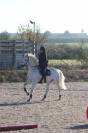 Poney de selle fran&ccedil;ais v&eacute;ritable maitre d'&eacute;cole 