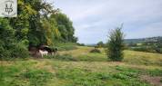 Pension pour chevaux en Normandie, pension pro
