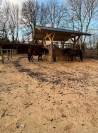 Pension pour chevaux en Normandie, pension pro