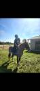 Ponette &agrave; vendre 