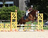 Cheval