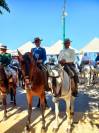 Se vende caballo p.r.e 