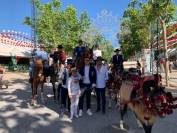 Se vende caballo p.r.e 