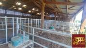 Propri&eacute;t&eacute; &eacute;questre 2,3 hectares