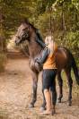 Dark Devil, magnifique hongre