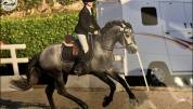 HOBGRE CO 5 ans 