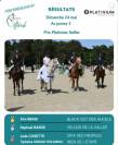 A vendre ponette as1 as2 ma&icirc;tre  d'&eacute;cole 