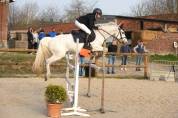 A vendre ponette as1 as2 ma&icirc;tre  d'&eacute;cole 