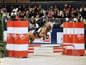 Poney B d&rsquo;exception &agrave; louer pour &eacute;preuves CSO