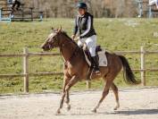 Lucifer du parc/ poney D pour faire As