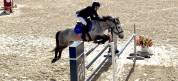 Hongre 9 ans - CSO AS