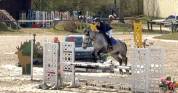 Hongre 9 ans - CSO AS