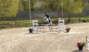 Hongre 9 ans - CSO AS