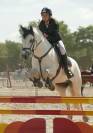 Poney ma&icirc;tre d&rsquo;ecole de p2 &agrave; p &eacute;lite &agrave; louer 