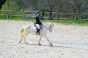 Poney ma&icirc;tre d&rsquo;ecole de p2 &agrave; p &eacute;lite &agrave; louer 