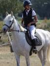 Jument camargue 8 ans