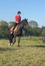 Mister 4ans trotteur fran&ccedil;ais 