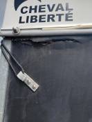 VAN CHEVAL LIBERTE 2 PLACES OCCASION